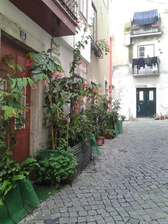 Tonic Flat Apartman Lisboa Kültér fotó